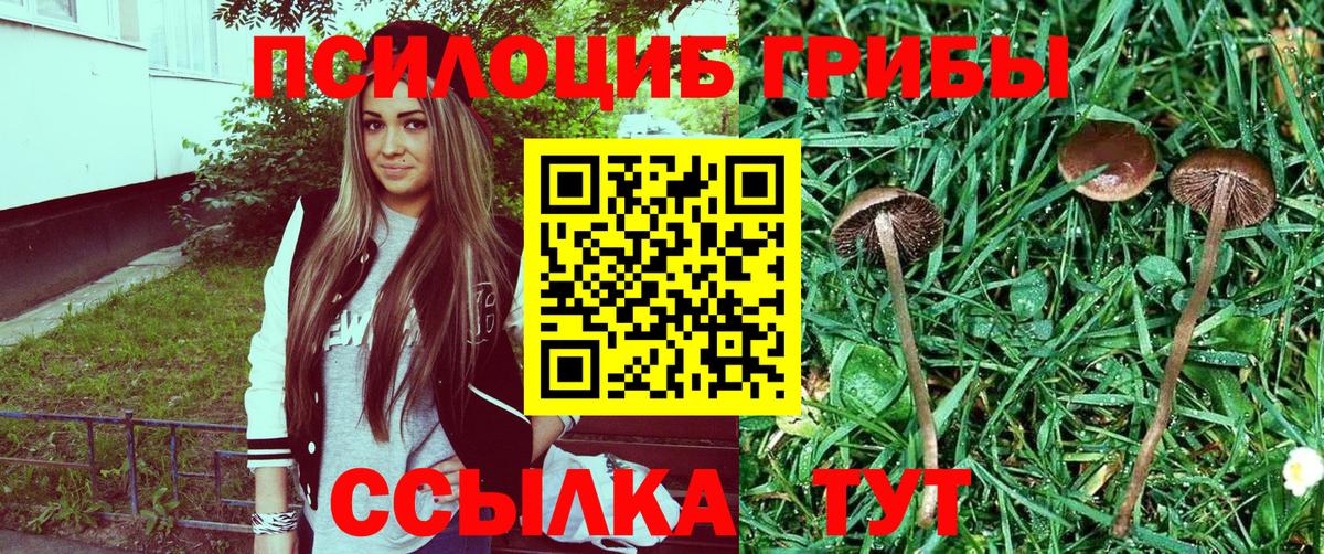 Орехово-Зуево  Псилоцибиновые грибы GOLDEN TEACHER  Вход с VPN 